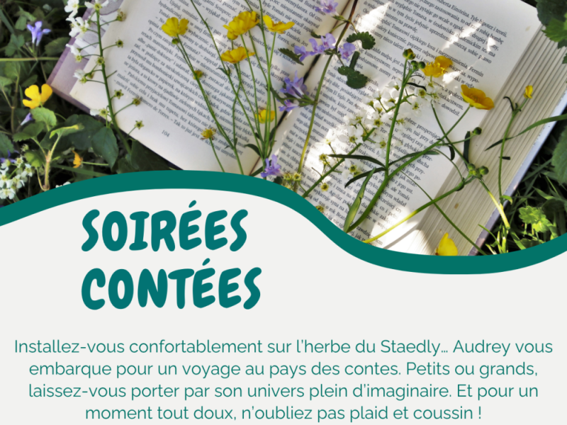 LES ANIMATIONS DE L'ETE